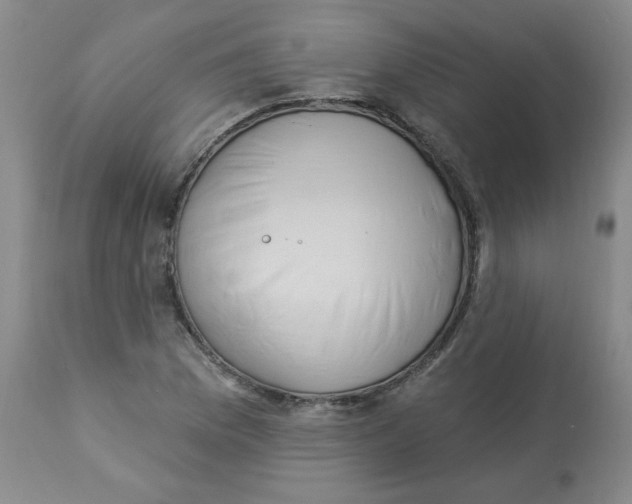 X0000112861169200909111501