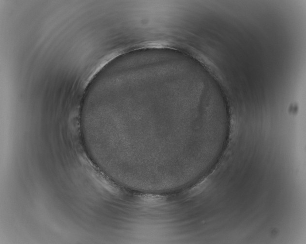 X0000112861170200909111501