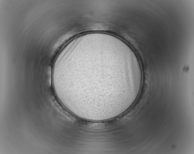 X0000112861171200909111501