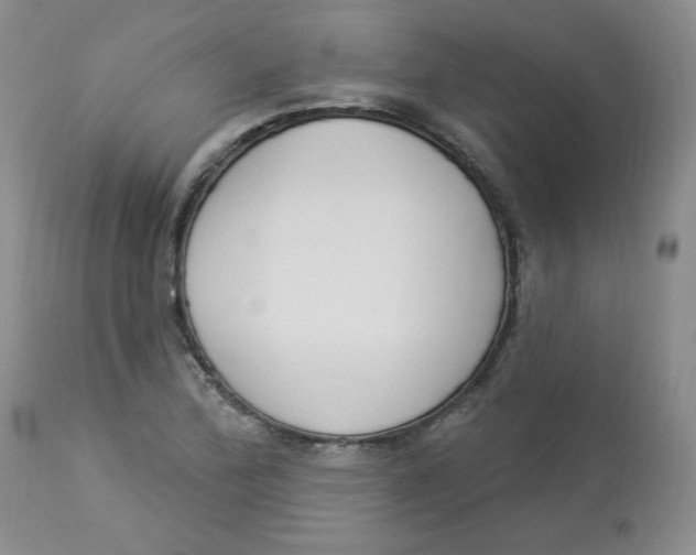 X0000112861172200909111501