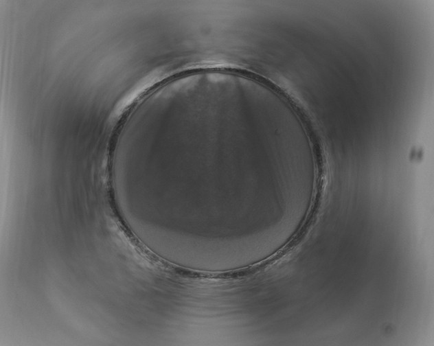 X0000112861173200909111501