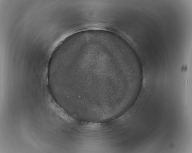 X0000112861174200909111501