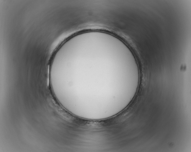 X0000112861175200909111501