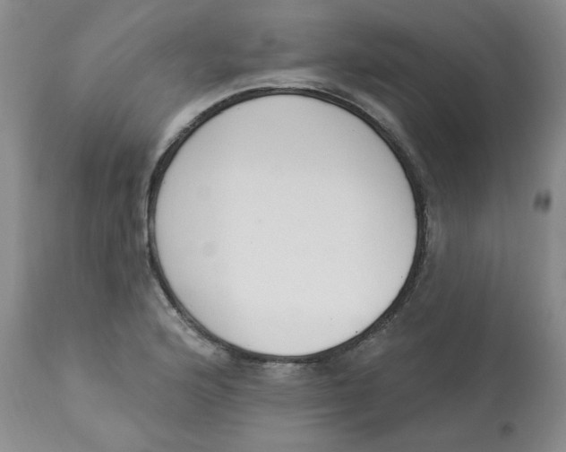 X0000112861176200909111501