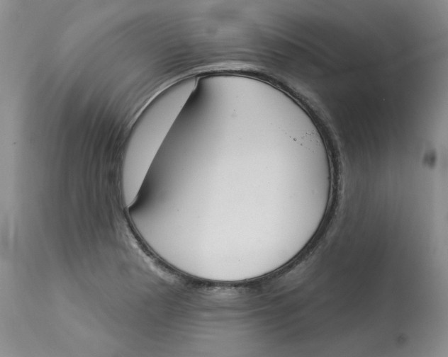 X0000112861177200909111501