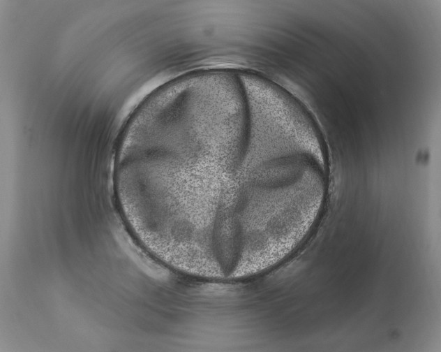 X0000112861179200909111501