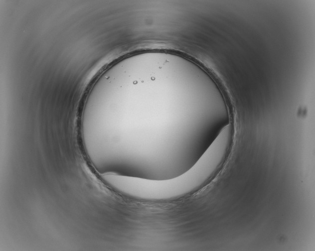 X0000112861181200909111501