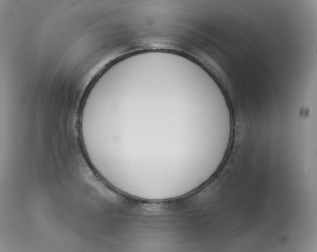 X0000112861182200909111501