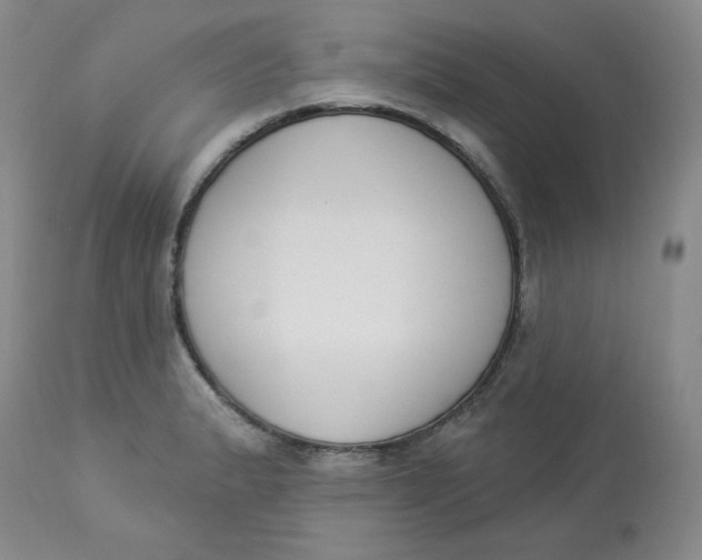 X0000112861183200909111501