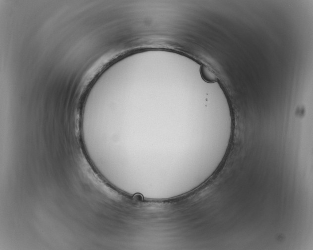 X0000112861188200909111501