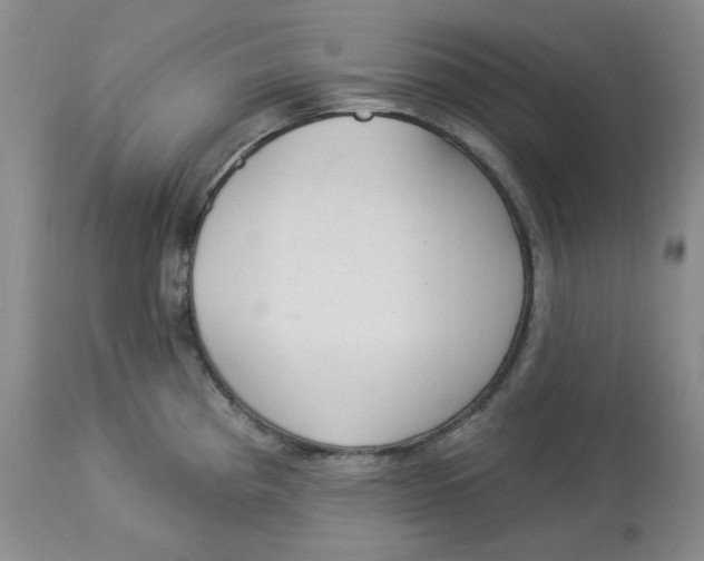 X0000112861193200909111501