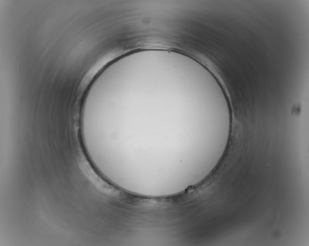 X0000112861195200909111501