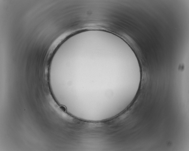 X0000112861196200909111501