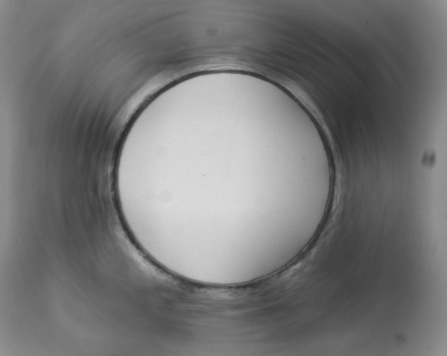 X0000112861197200909111501