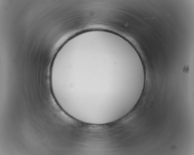 X0000112861199200909111501