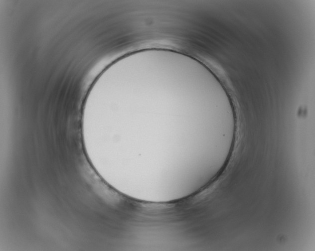 X0000112861200200909111501