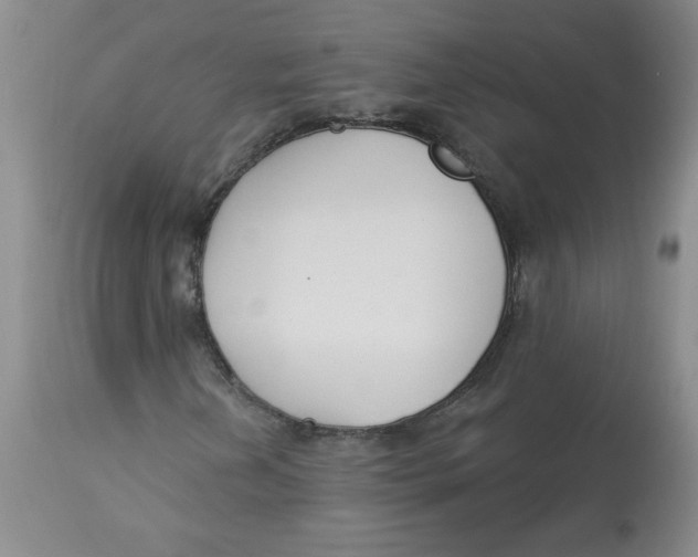 X0000112861202200909111500