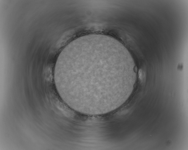 X0000112861203200909111500