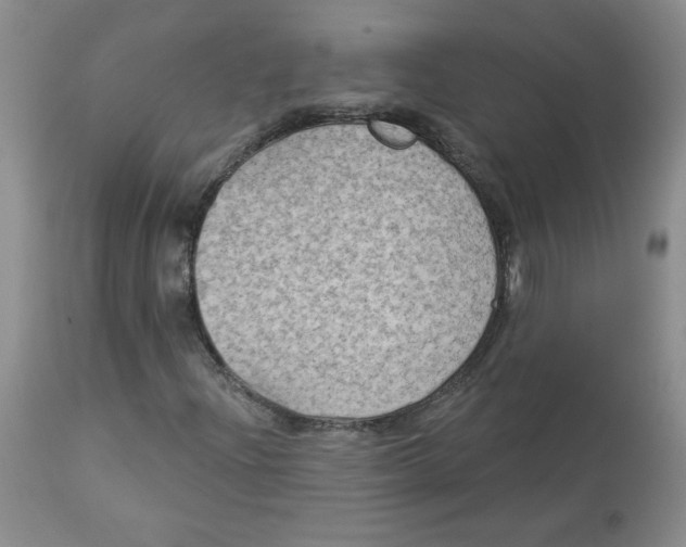 X0000112861204200909111500