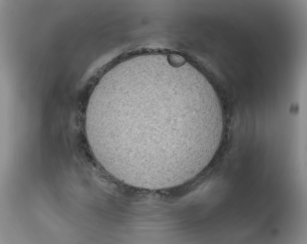 X0000112861207200909111500