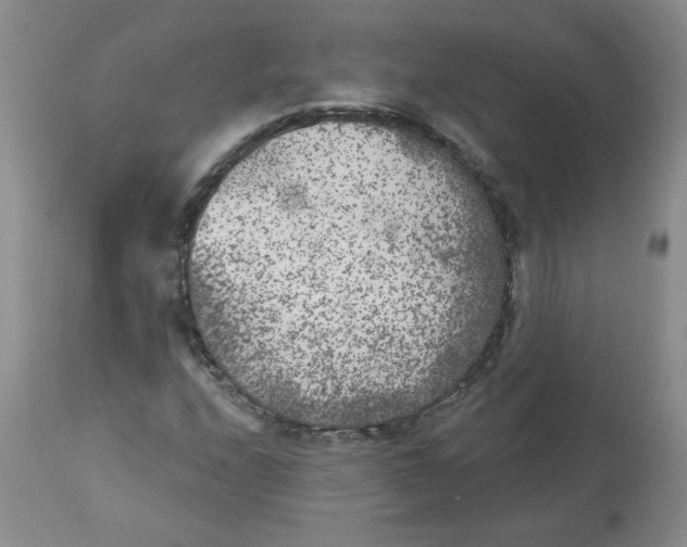 X0000112861208200909111500