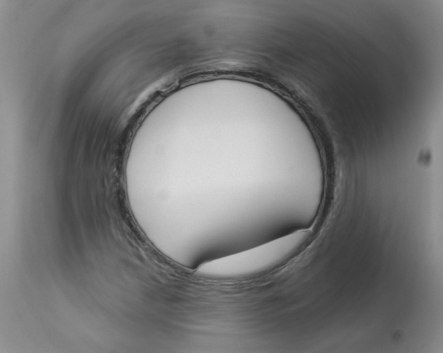 X0000112861210200909111500