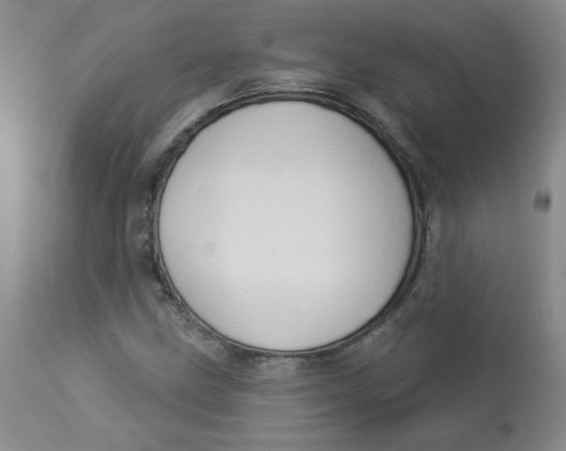 X0000112861211200909111500