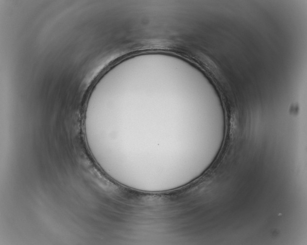 X0000112861212200909111500