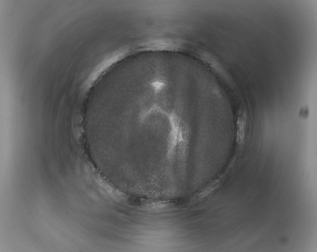 X0000112861213200909111500