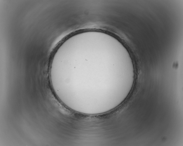 X0000112861216200909111500