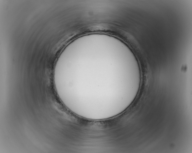 X0000112861217200909111500