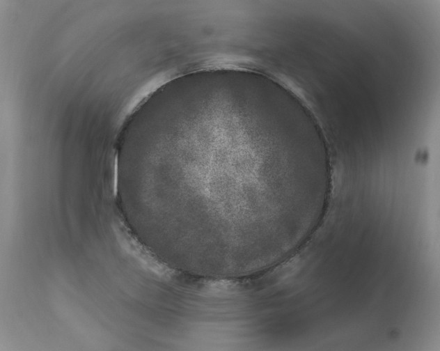 X0000112861219200909111501