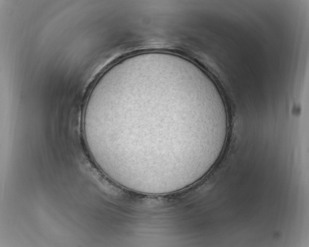 X0000112861220200909111501