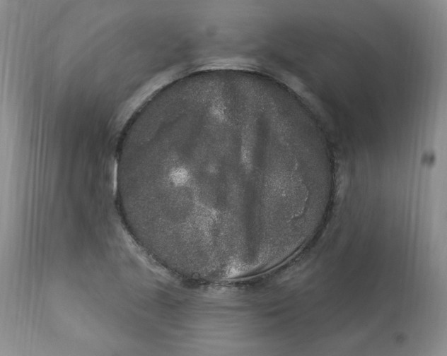 X0000112861221200909111501