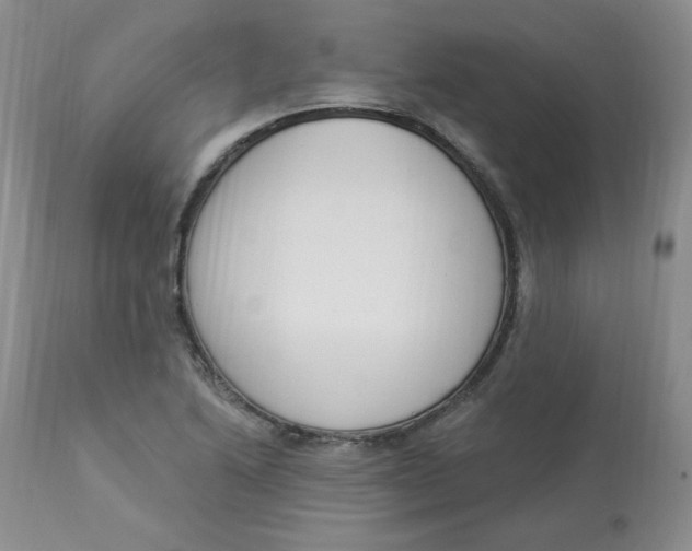 X0000112861222200909111501