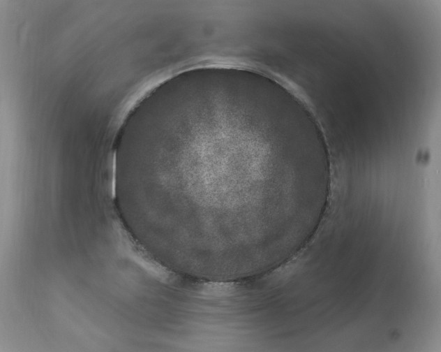 X0000112861223200909111501