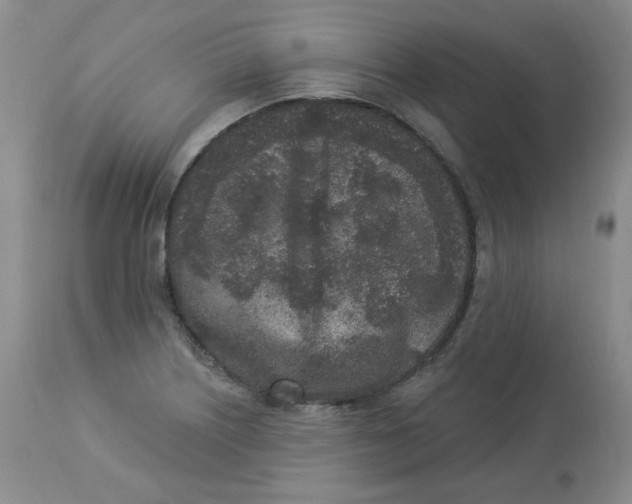 X0000112861226200909111501