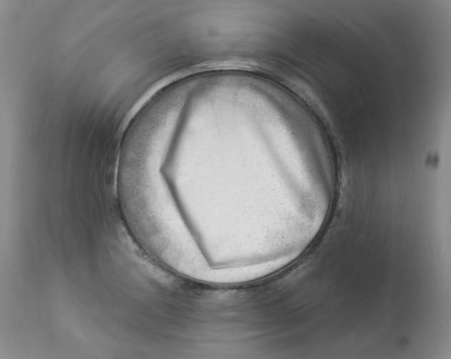 X0000112861228200909111501