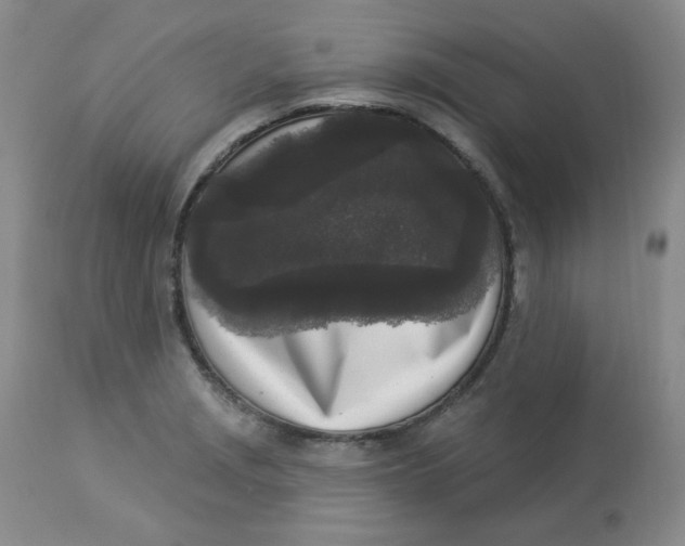 X0000112861229200909111501