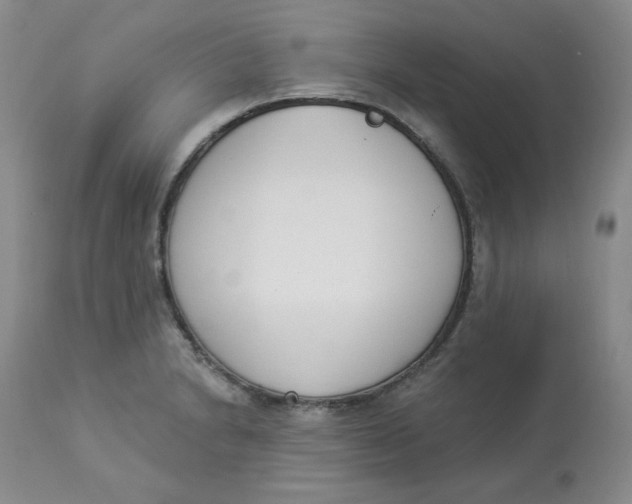 X0000112861230200909111501