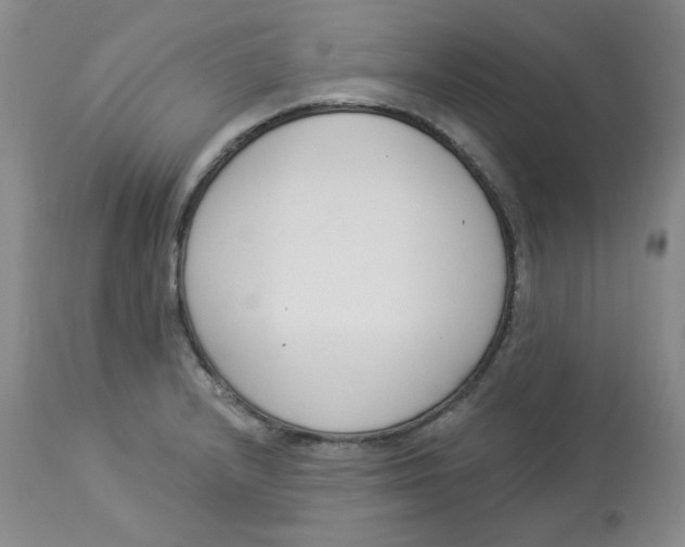 X0000112861232200909111501