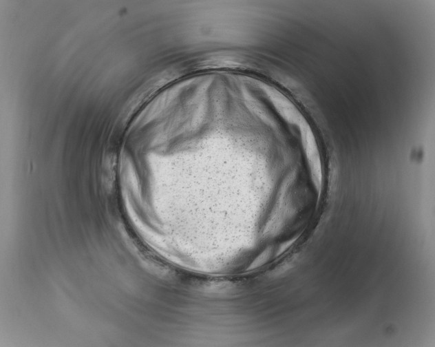 X0000112861233200909111501