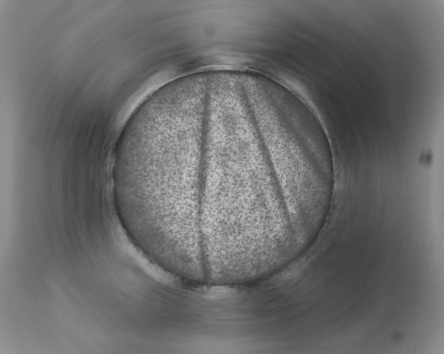 X0000112861235200909111501