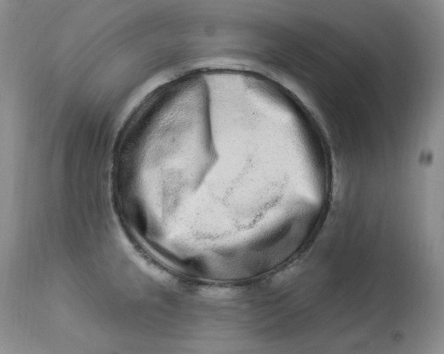 X0000112861237200909111501