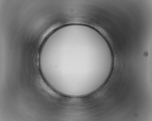 X0000112861238200909111501