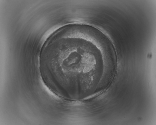 X0000112861239200909111501