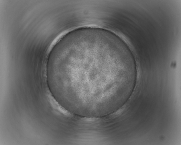 X0000112861240200909111501