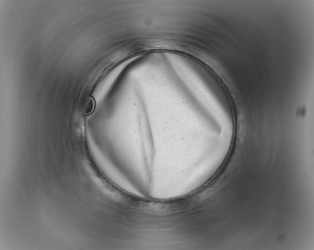 X0000112861241200909111501