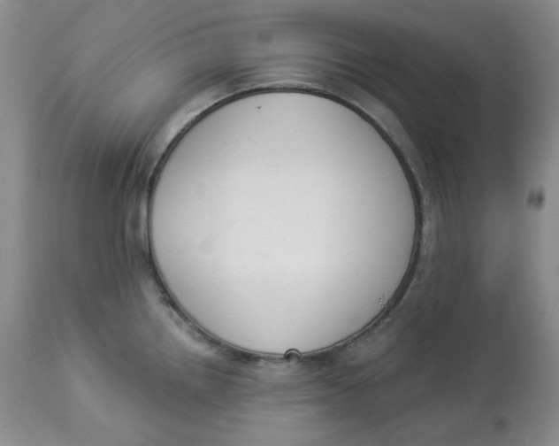 X0000112861242200909111501