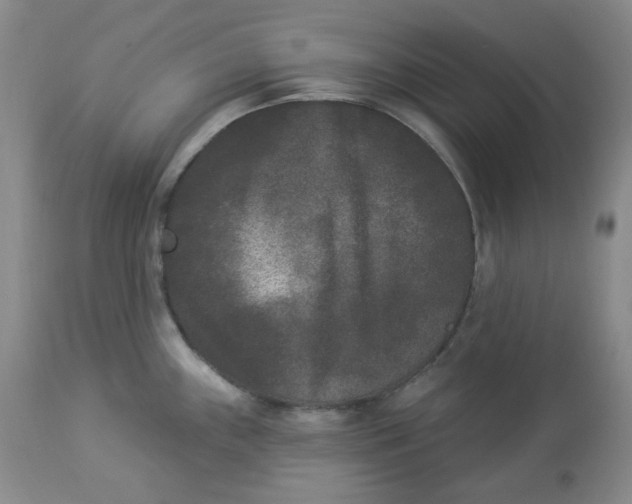 X0000112861243200909111501